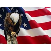 Garrett Grayさんの写真