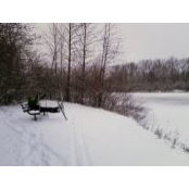 Kathy Stegbauer's photo