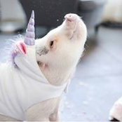 Lucy Fleming's photo