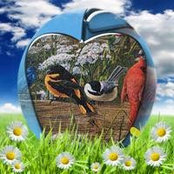Anne Russell's photo