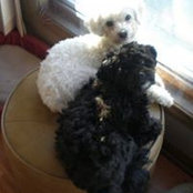 Nancy Breuer's photo