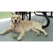 Heidi Schriefer's photo