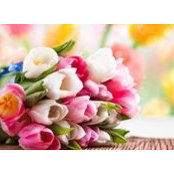 Galinka Malinka's photo