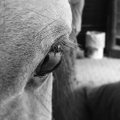 Juan Camilo Mejía Valenciaさんの写真