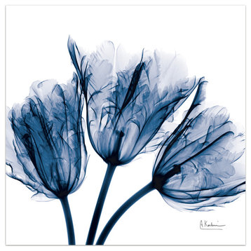 "Blue Tulip X-Ray" Flower Wall Art Frameless Free Floating Tempered Glass Panel