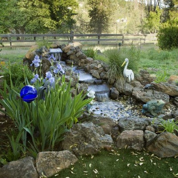 Pool & Landscaping