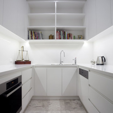 Monochrome Kitchens