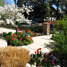 Landscape Ideas