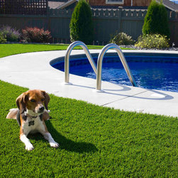 SYNLawn Pet System - Products