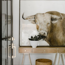 Decorating Ideas