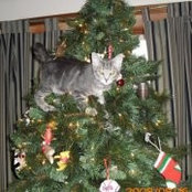 Christine Yager's photo