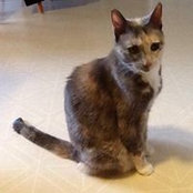 Tracie Anderson-Peters's photo