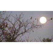 Keran Johnson's photo