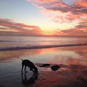 Foto de Mark Snow