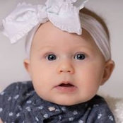 Tara Van Dis's photo