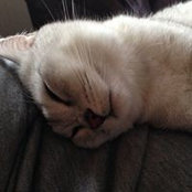 Vera Kazantseva's photo
