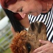 Denise Slippy-Sheridan's photo