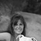 Lynne Morin's photo