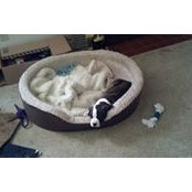 Jessica Wolfinger Albertson's photo