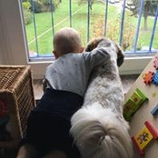 Caro Wolitzki's photo