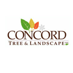 Concord Tree and Landscape