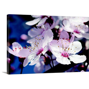 Cherry Blossom II Wrapped Canvas Art Print, 18"x12"x1.5"