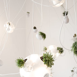 Bocci Lighting - Ceiling Lighting