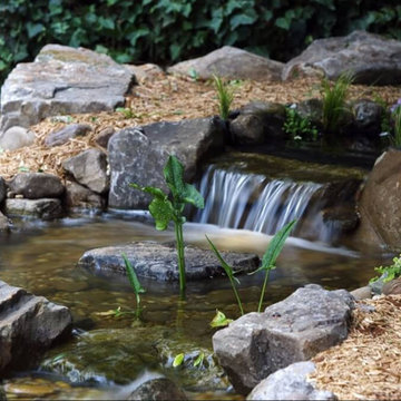 Hardscapes & Custom Landscapes