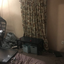 guest