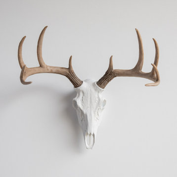 Deer Skull Wall Mount, White and Natural