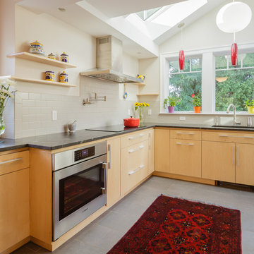 Kitchen Renovation and Roof Top Deck Addition