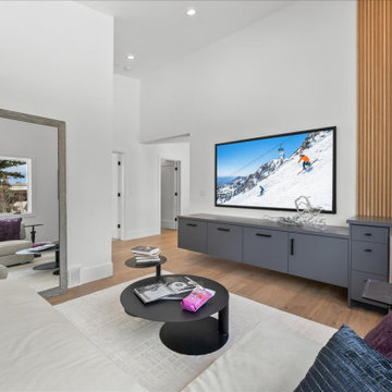 Park Meadows Remodel