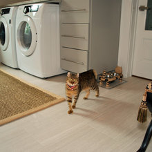 Laundry Room/Cat Room