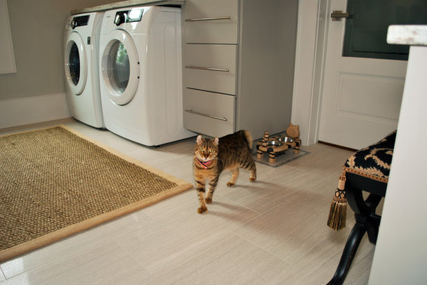 Cat laundry room