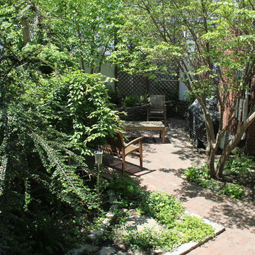 A Brooklyn Yard
