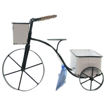 Home & Garden Tricycle Planter Iron Distressed Enamel 164095