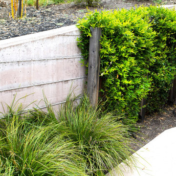 Extraordinary Greenery