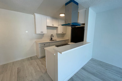 Mid-sized minimalist galley vinyl floor and white floor eat-in kitchen photo in San Diego with a single-bowl sink, shaker cabinets, white cabinets, quartzite countertops, white backsplash, an island and white countertops