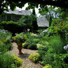 Landscape Ideas