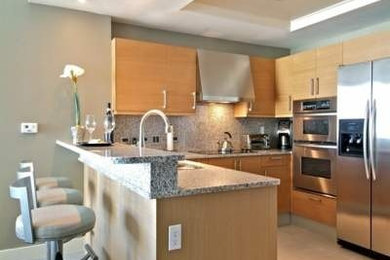 Example of a minimalist kitchen design in Tampa