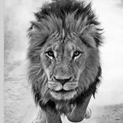 Marcus Willrich's photo