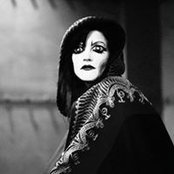 Foto von Alexia Schlaudecker