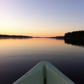 Emily D's photo