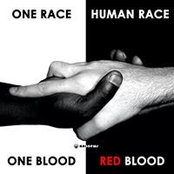 James Pitt's photo
