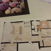 MJ Kuonen's photo