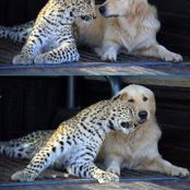Edward Kessler's photo