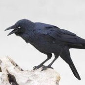 Terry Duff's photo
