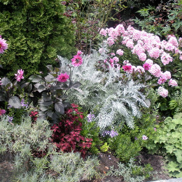 Mixed perennial border