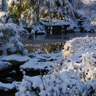 他の地域の大きい、冬のトラディショナルスタイルのおしゃれな庭 (庭への小道、斜面・土手) の写真