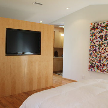 Modern Master Suite